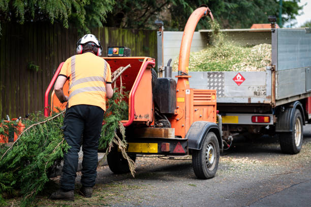 Best Aeration Services  in Dunn Loring, VA