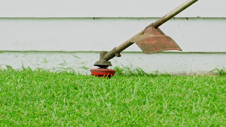 Best Leaf Removal  in Dunn Loring, VA