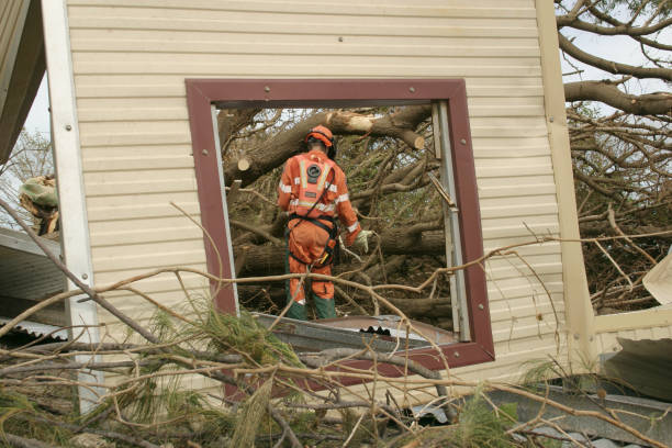 Best Tree Removal  in Dunn Loring, VA