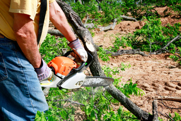 Lawn Drainage Solutions in Dunn Loring, VA